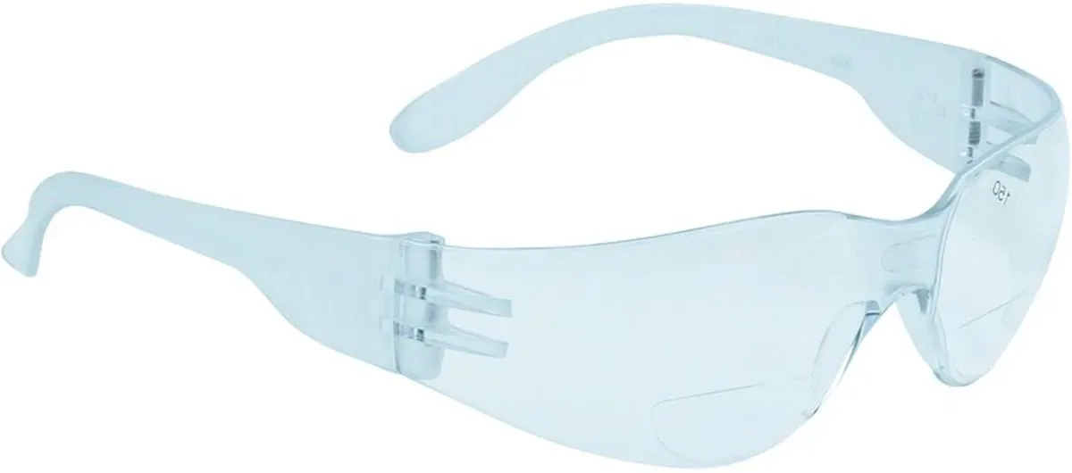 Delta Plus Schutzbrille Brava2 mit Lesebereich