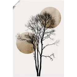 Artland Wandbild »Sonne und Mond versteckt«, Baumbilder, (1 St.), als Alubild, Outdoorbild, Leinwandbild, Poster, Wandaufkleber Artland Farbe Bild(er): grau