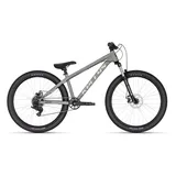 Kelly's Whip 10 DX 26 Zoll RH 50 cm grau