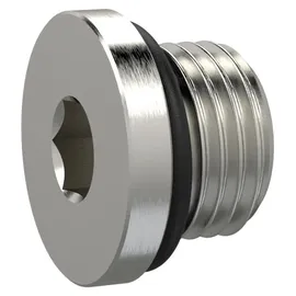 Riegler Verschlussschraube, Innensechskant 2,5 mm, M5, NBR O-Ring, MSN