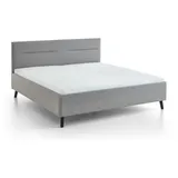 Meise Möbel Samba 180 x 200 cm Silber