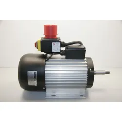 Holzkraft Motor BKS 500 / 400V / 4,2kW 56460145