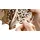 REVELL Tiny Adventures - Magic Clock, Funktionsmodell aus Holz zum Zusammenbauen