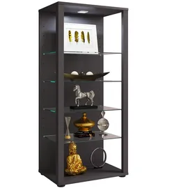 VCM Standvitrine Glasol 52 x 35 x 115 cm Schwarz