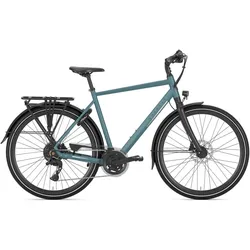 Gazelle Chamonix T20 Grau Modell 2025