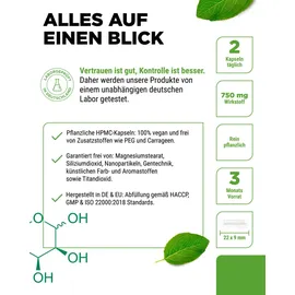 Vit4ever D-Mannose Kapseln 180 St.