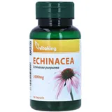 vitaking GmbH Echinacea 1000mg