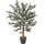 Homescapes KUNSTBAUM Olive, 90 cm