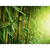 Premium Garden Wurzelsperre 3,5 x 0,6 m rot