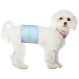 Flying Paws Einweg-Hundewindeln für Rüden, Windeln für Hunde, Rüdenwindel Passend für Taille 30-48 cm, S, 40 Stück