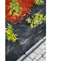Versele-Laga Nature Unkrautschutz-Bodengewebe 4,2×5 m Schwarz