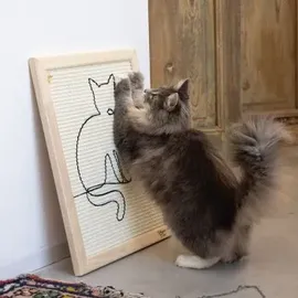 Designed by Lotte Sammy Kratzbrett 50 x 40 x 2 cm beige