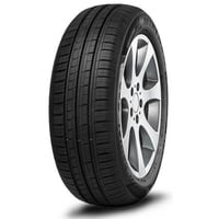 Minerva F209 195/65 R15 91H