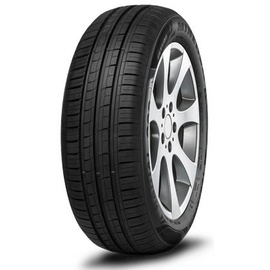 MINERVA F209 195/65 R15 91H