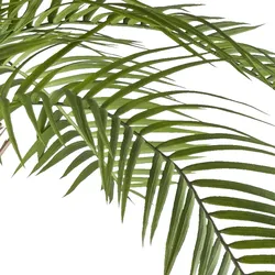CREATIV green künstliche Pflanze Macauba-Palme, ca 235cm