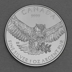 Silbermünze 1oz Great Horned Owl 2015 Birds of Prey (Kanada)
