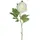 Mica decorations - Mica Künstliche Pfingstrose Creme 76 Cm Kunstpflanzen