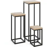 Lamo Pflanzenständer Set 30 x 50 x 70 cm Schwarz