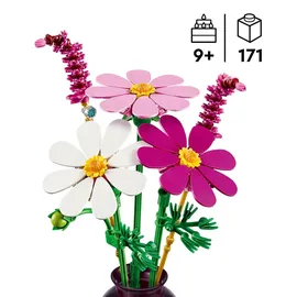 LEGO Botanicals Kosmeen 11514