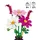 LEGO Botanicals Kosmeen 11514