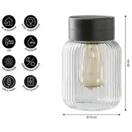 Dehner Solar-Glas Rania
