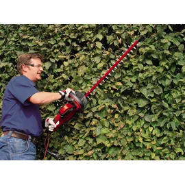 Einhell GC-EH 6055/1