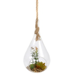 Kunstpflanze Sukkulente Sukkulente, Bubble-Store, Kunstpflanze im Glas