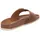 Birkenstock Madrid Big Buckle Nubukleder geölt schmal cognac 39