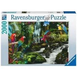 RAVENSBURGER 17111 Puzzle Bunte Papagein im Dschungel 2000 Teile