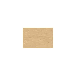 Corpet Linoleum - Linocolor - Certo Caramell - Life Silent