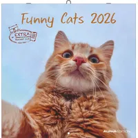 Neumann Funny Cats 2026 - Broschürenkalender 30x30 cm (30x60
