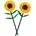 Sonnenblumen 40524