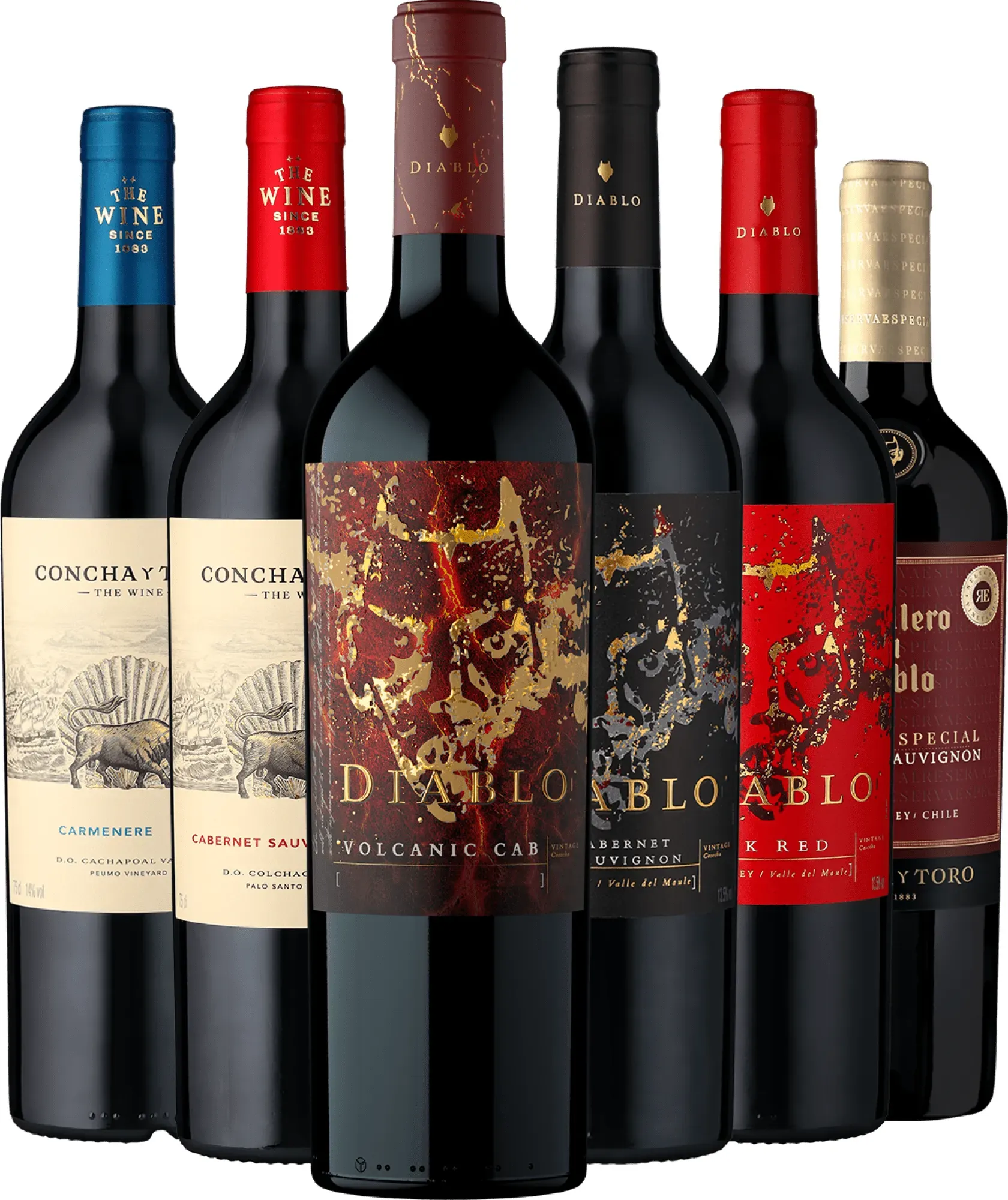 6er-Probierpaket »Rotweine Viña Concha y Toro«