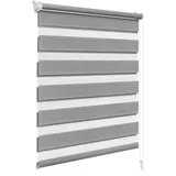 Woltu Doppelrollo 80 x 150 cm grau