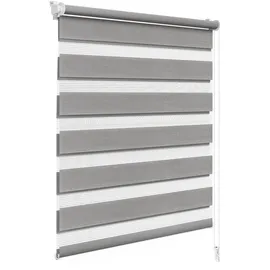 Woltu Doppelrollo 80 x 150 cm grau