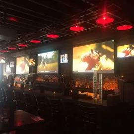 Elite Screens Electric100H 221x124 16:9