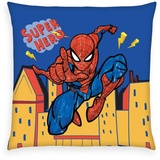 Herding Spiderman, Wendemotiv, 40 x 40 cm, Polyester