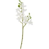 Kunstblume Mini Orchidee Phalaenopsis, DPI, 30 cm weiß