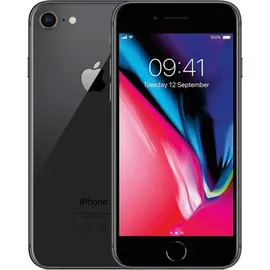 Apple iPhone 8 256 GB Space Grau