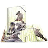 Herma Sammelmappe Tiere A3 koalafamilie