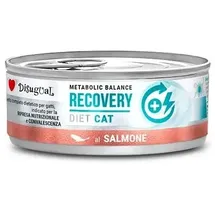 disugual toy Recovery Lachs 12 x 85 g