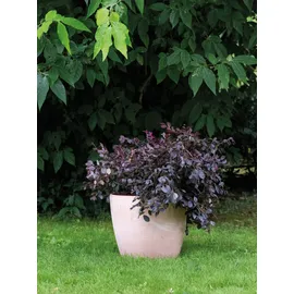 Deroma Egg Pot Ø 25 x 22 cm Weiß