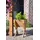 Dobar Kleines Hochbeet 39 x 40 x 61 cm Braun