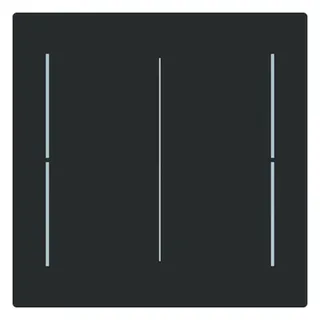 Busch-Jaeger Abdeckung, 2-fach LFW/A.2.70.11-45M