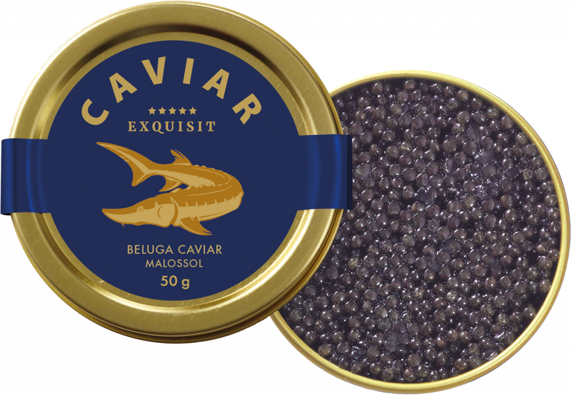 Exquisit BELUGA Stör CAVIAR Premium Linie Malossol, 50g