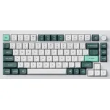 Keychron Q1 HE Nebula Switch US