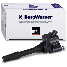 BorgWarner (Beru) Beru ZS538