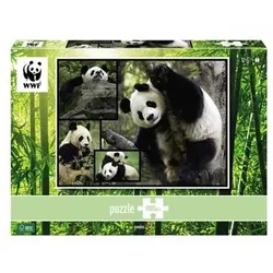 AMBASSADOR 7230062 Erwachsenenpuzzle 1000 Teile Pandas WWF