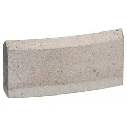 BOSCH Segment 2608601389