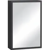 kleankin Spiegelschrank 40 cm schwarz